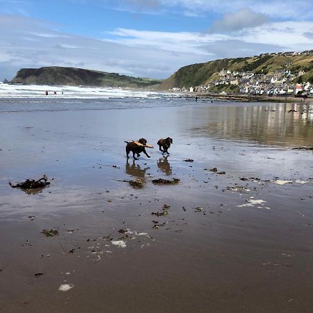 Puffins Nest Villa Gardenstown Bagian luar foto