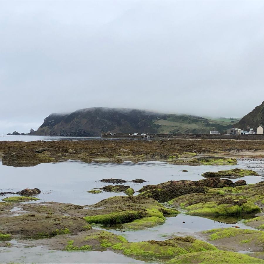 Puffins Nest Villa Gardenstown Bagian luar foto