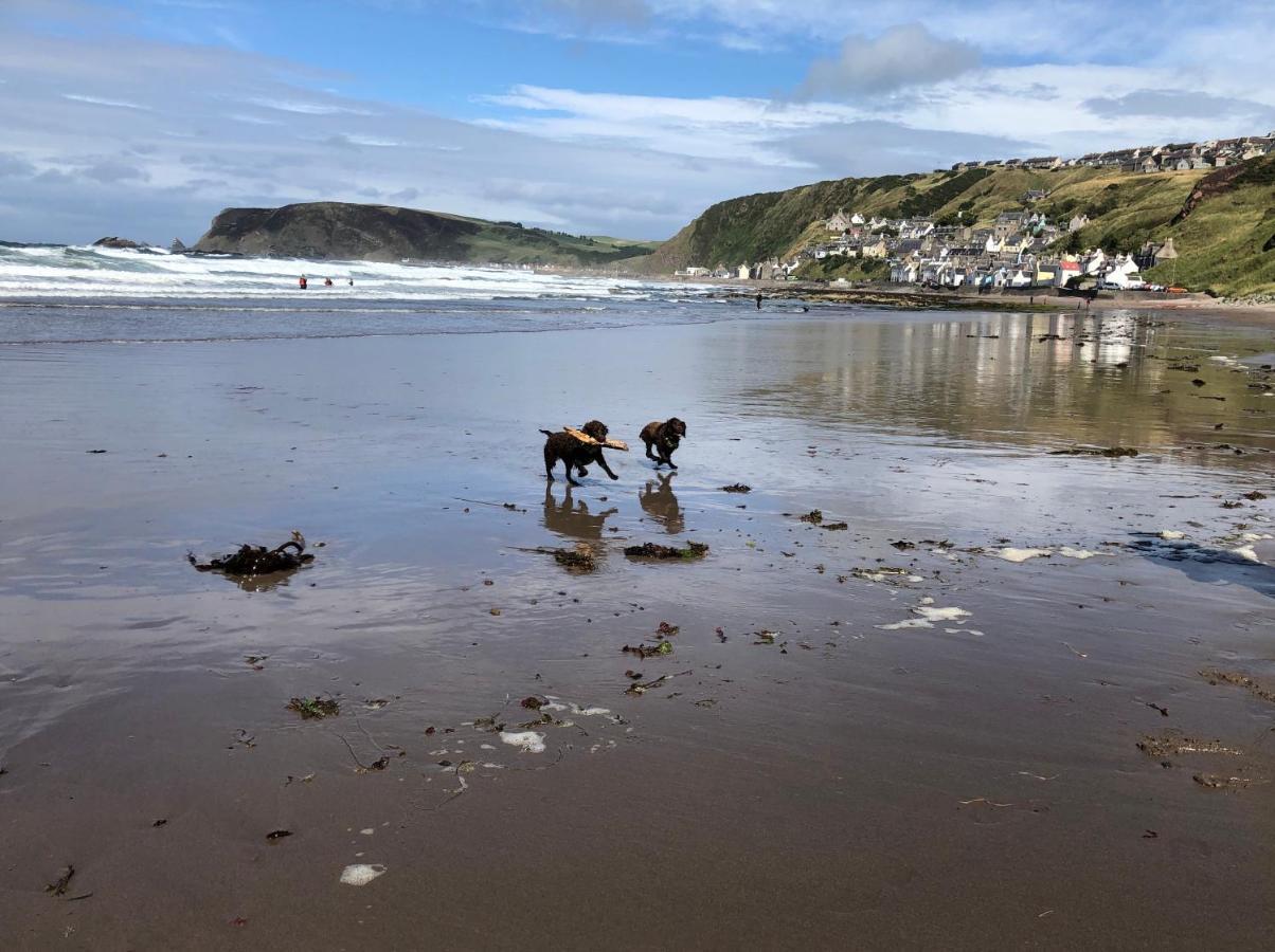 Puffins Nest Villa Gardenstown Bagian luar foto